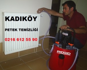 kadıköy petek temizliği