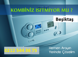 beşiktaş petek temizliği