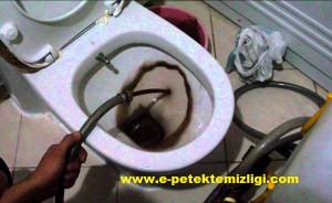dudullu petek temizleme