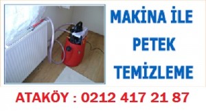 ataköy petek bakımı